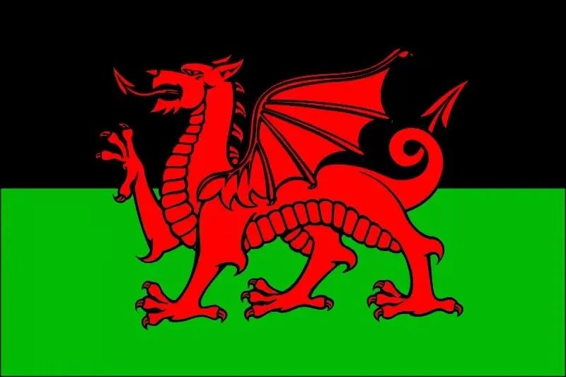 卡塔尔世界杯b组趋势分析图,卡塔尔世界杯b组出线