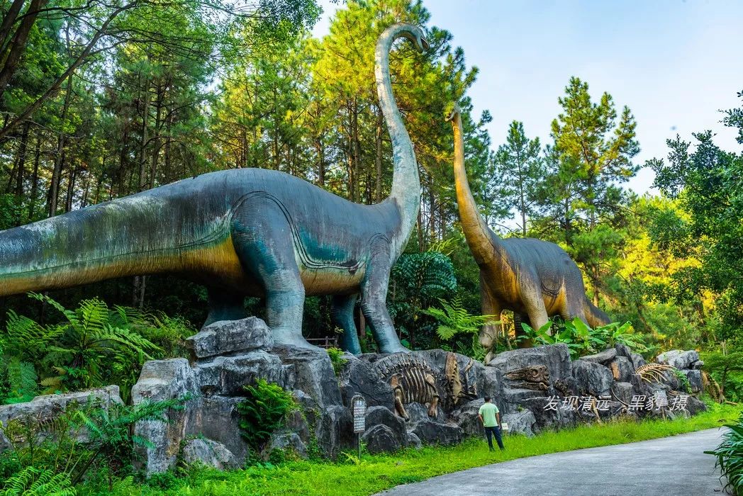 佛冈森波拉旅游一日游游记,佛冈森波拉奇妙世界乐园刺激项目