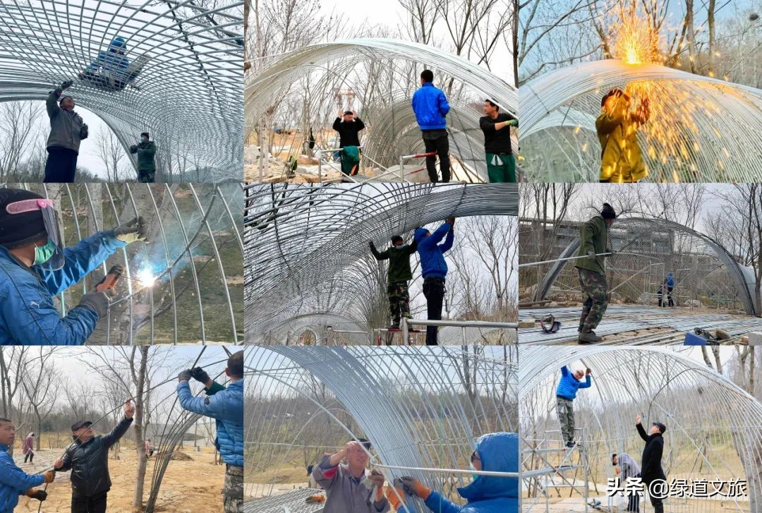 樱花树下的约定字体设计,樱花树下的约定完美国度