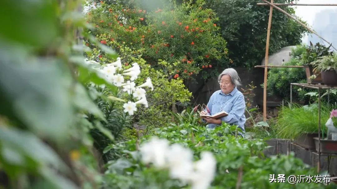 连她都敢请，这档综艺怎么想的