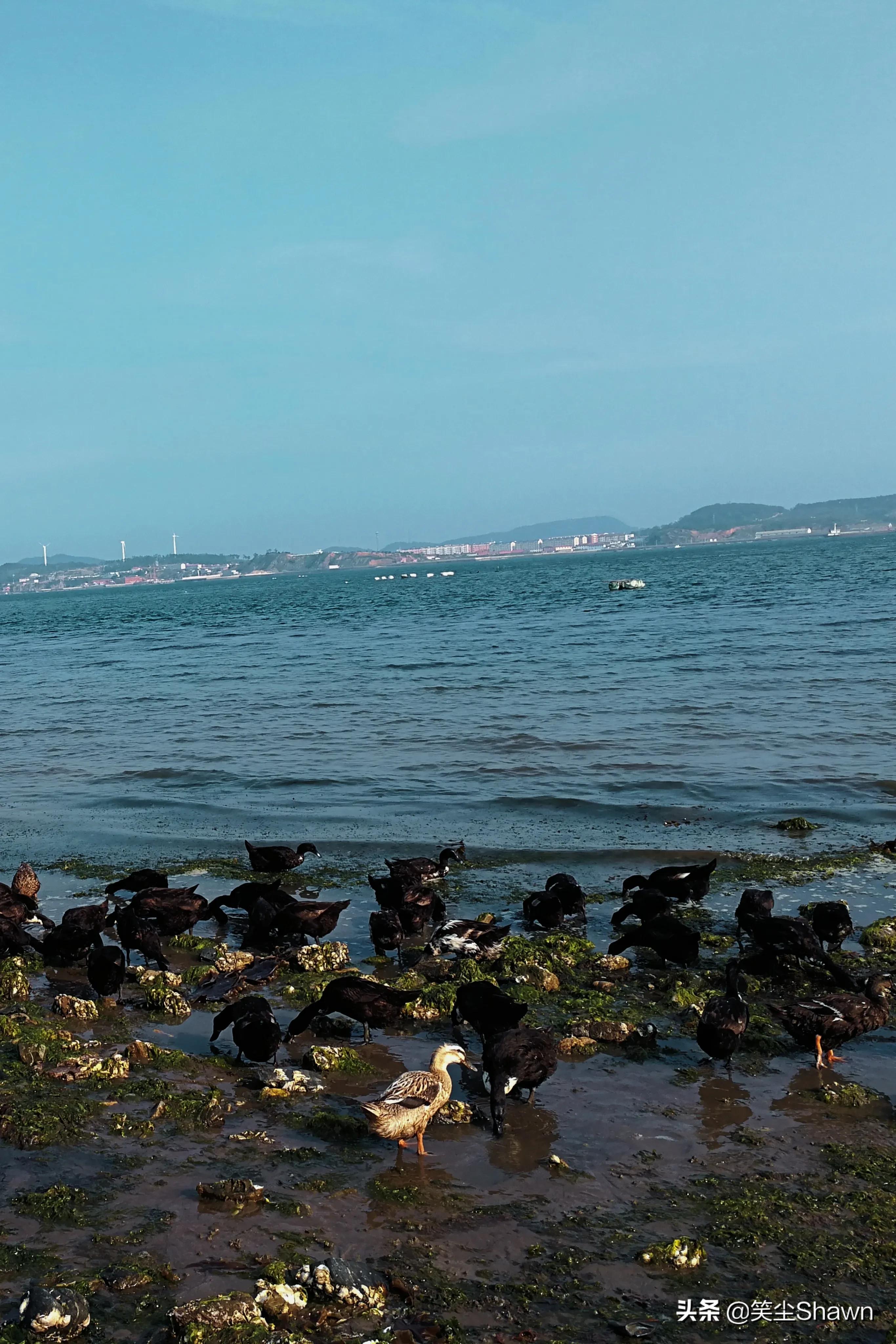 大连大长山岛自驾,大长山岛旅游攻略带孩子