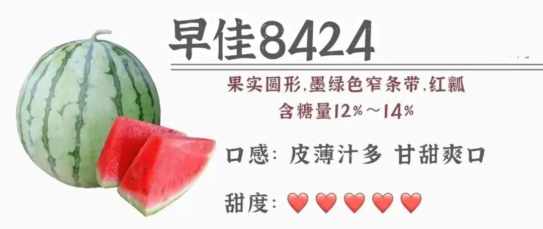 三伏天吃瓜群众,三伏天如何做一个合格的吃瓜群众