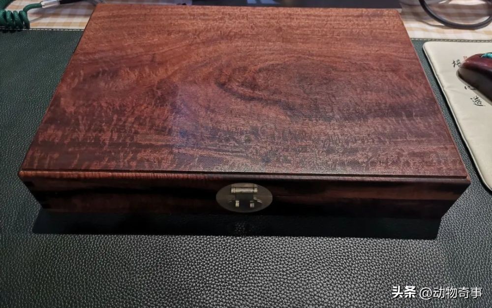 被烧伤的刺猬会“巫术”，除掉三只羊两只狗一头牛，因它有个朋友