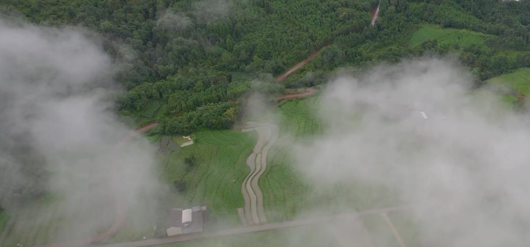 腾冲——高黎贡山下的“云药之乡”