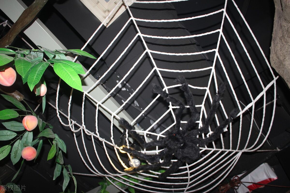 114章；盘丝洞女娲收天蚕