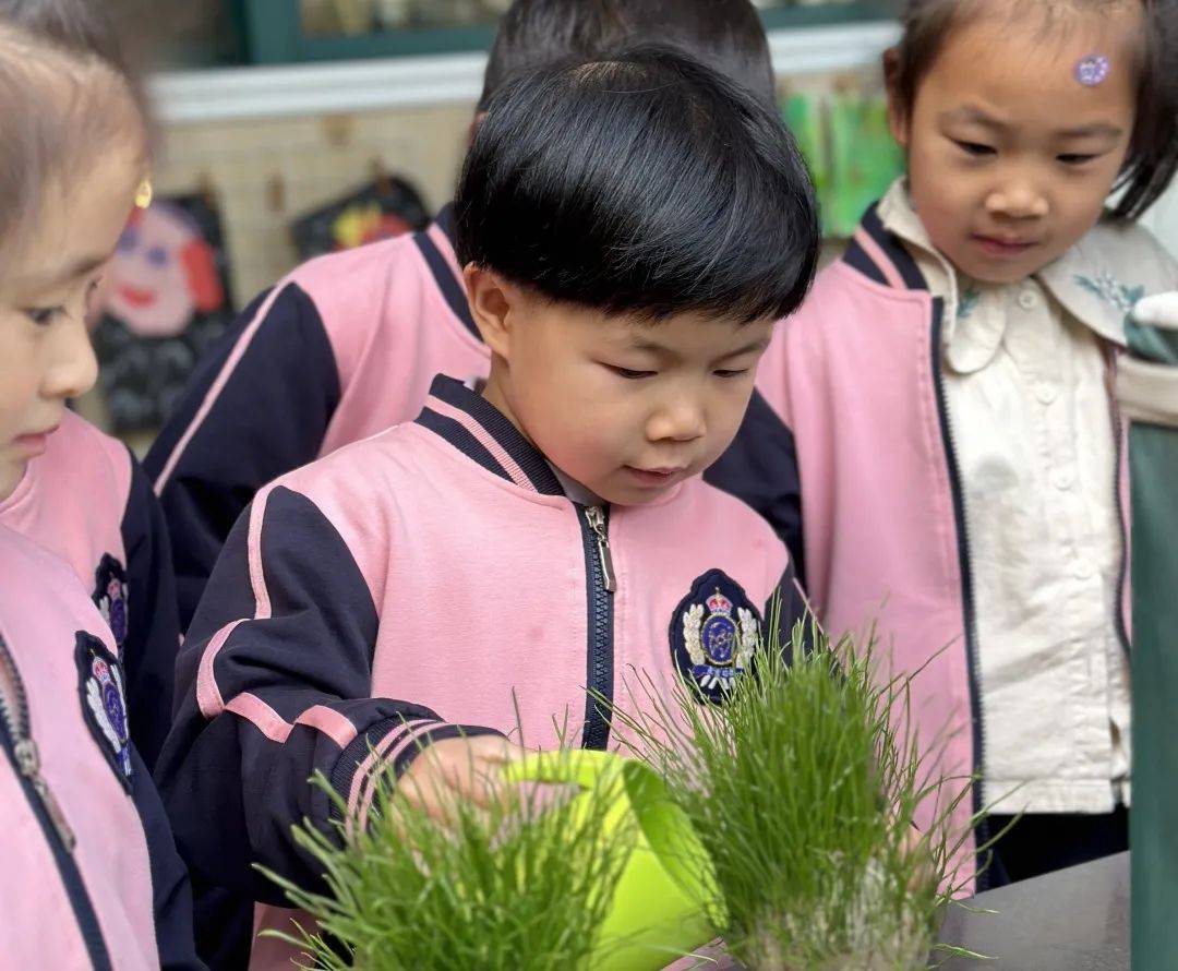 你好，草娃娃！——庆安乐儿堡幼儿园小二班课程故事