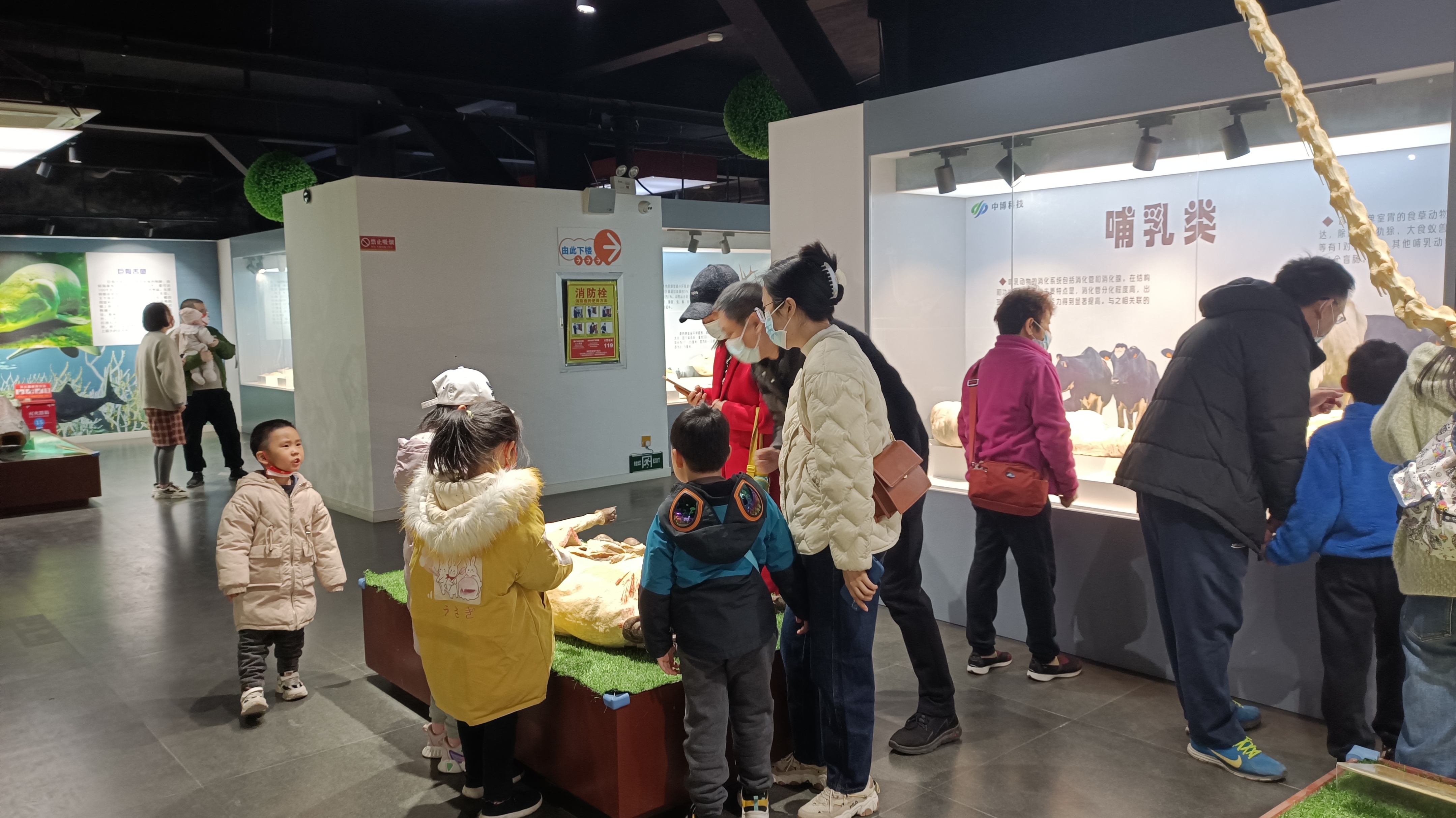 郑州最适合踏青赏花爬山的地方,郑州春日赏花好去处推荐