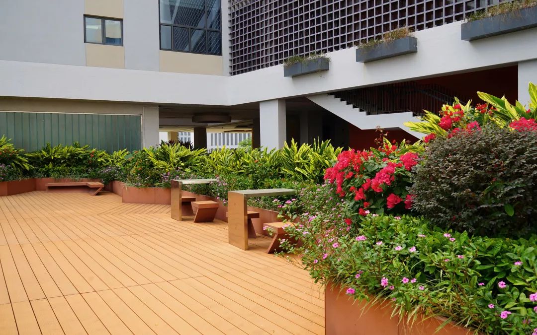 大学校园绿化设计,现代校园绿化规划设计