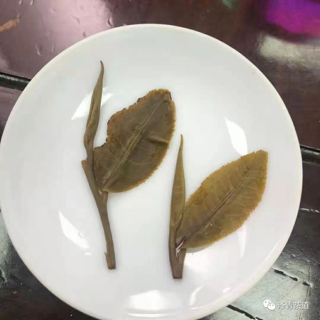 保塘古树茶好喝吗,芒景古树茶好喝吗