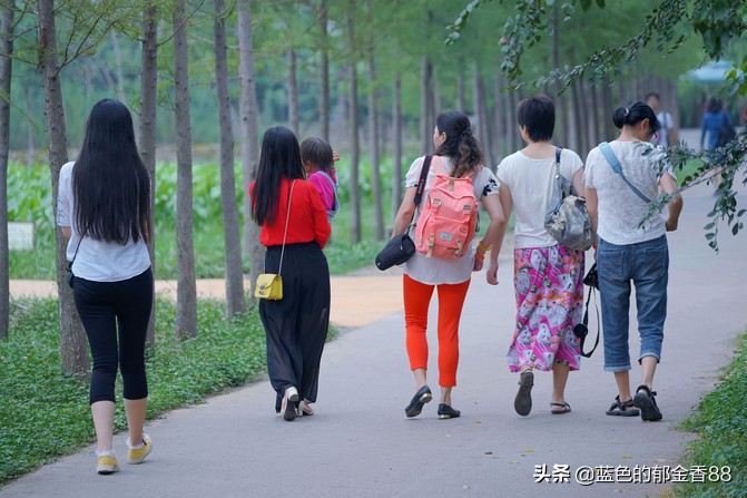 无名河我心中的伊甸园,画出我心中的伊甸园