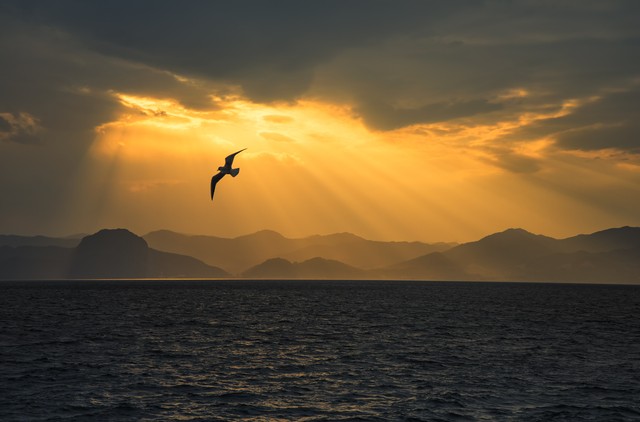 想分手但又怕后悔怎么办,我提出分手现在后悔了怎么办