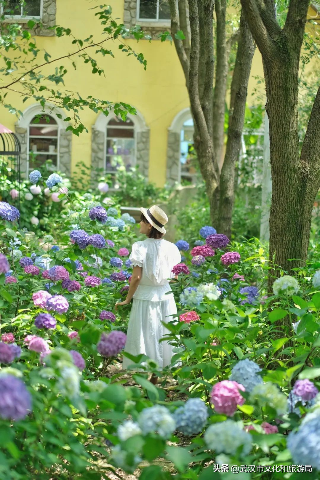 端午节私藏版游玩攻略,蔡甸2021年1月游玩攻略