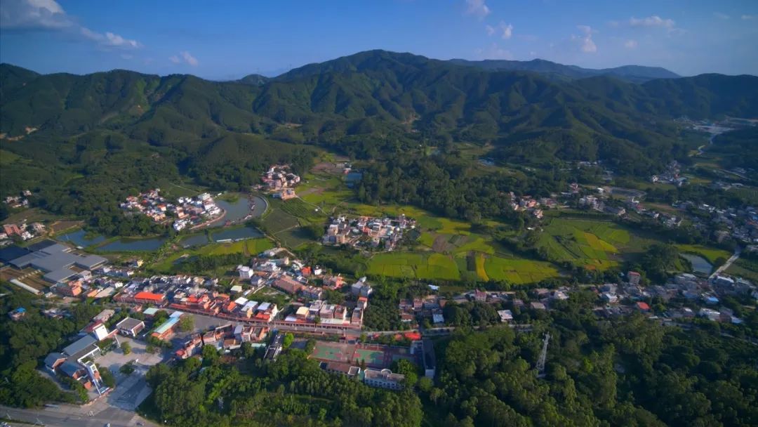 惠州市怡情谷温泉假日酒店图片,惠州横沥怡情谷温泉酒店
