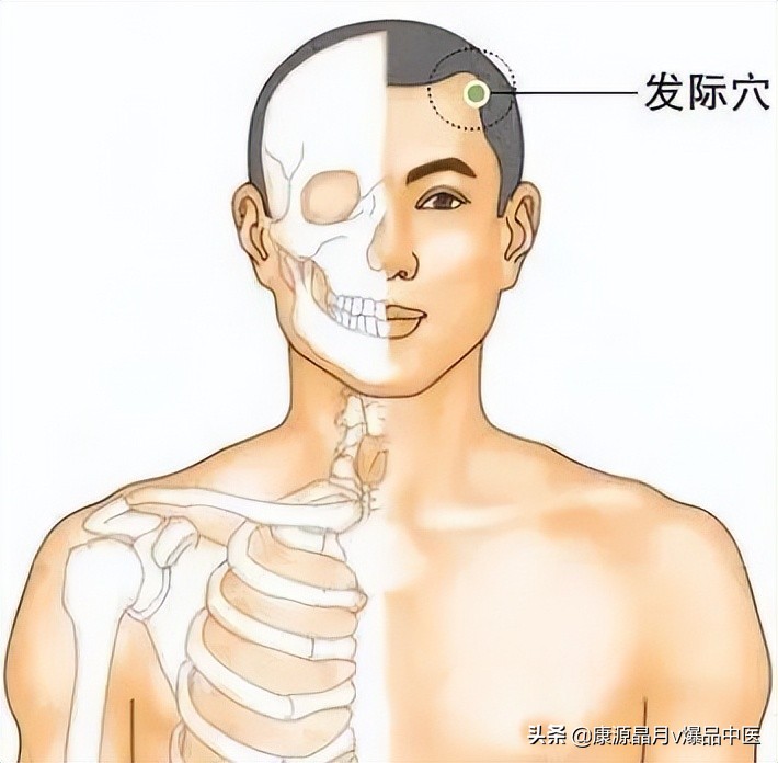 中医精华之人体特效穴,经外奇穴69个疑难杂症图解