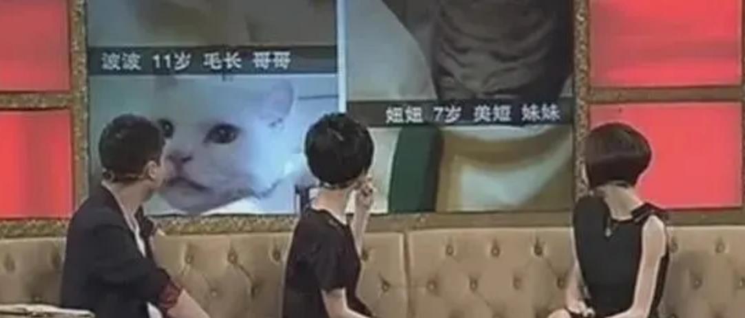 康辉和刘雅洁,康辉和刘雅洁最新视频