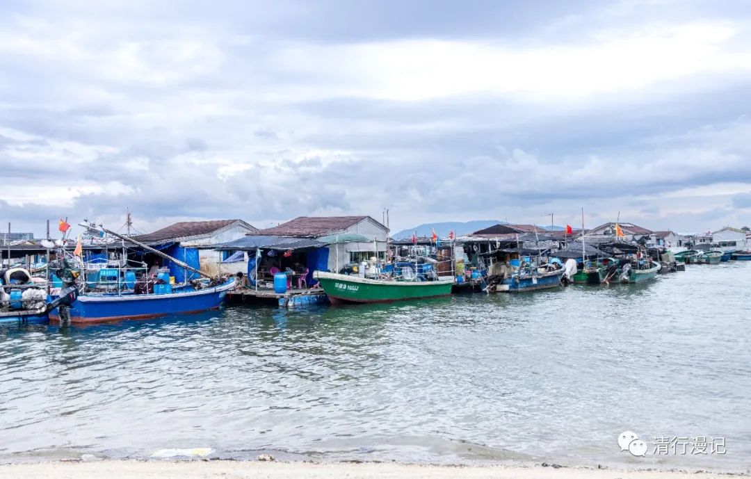 海南人去南湾猴岛,海南三亚南湾猴岛门票