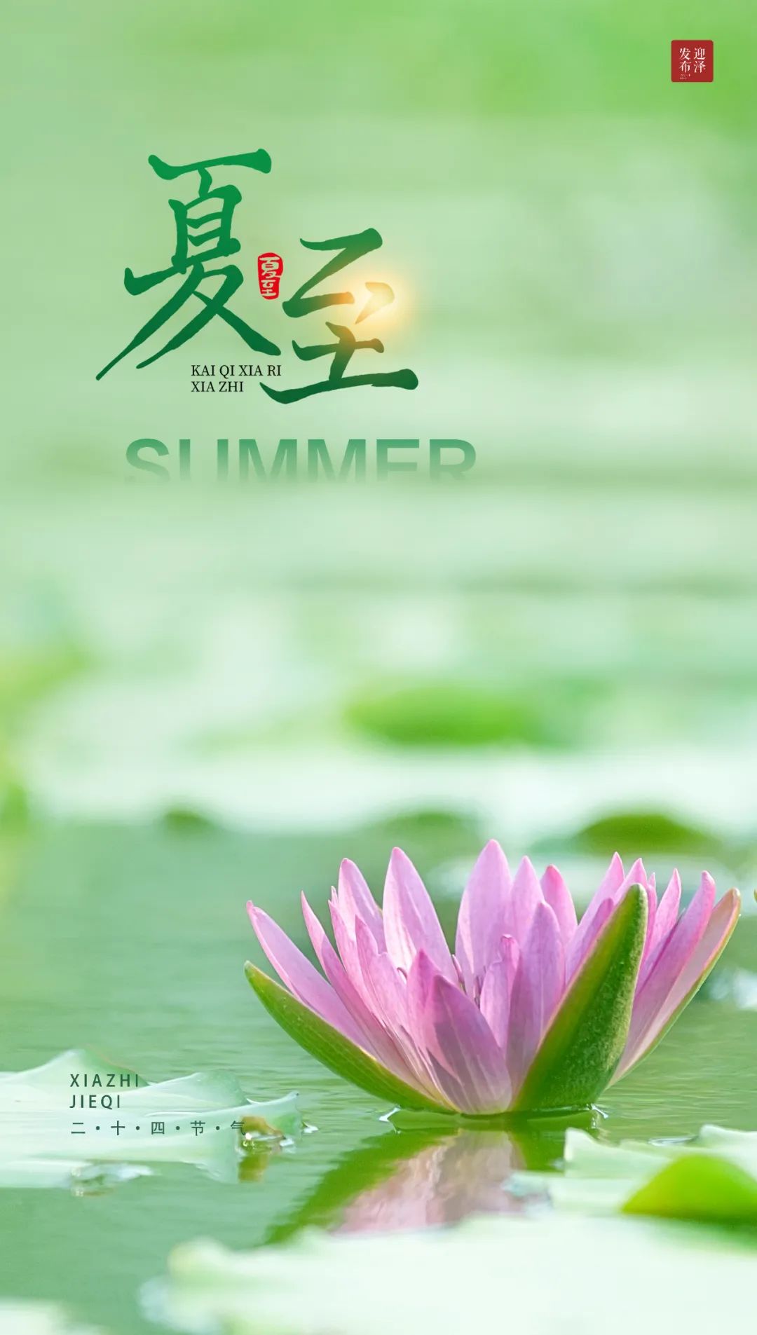 节气夏至已至向阳而生,节气夏至一切如约而至