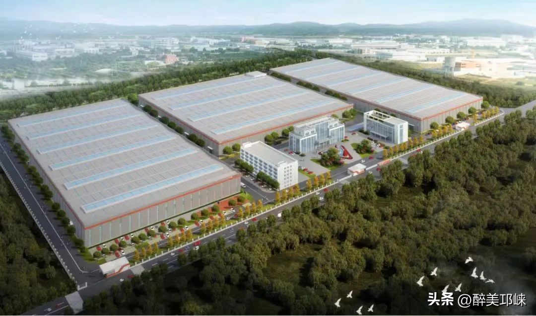 企业家谈助力经济发展,企业家说成功的关键