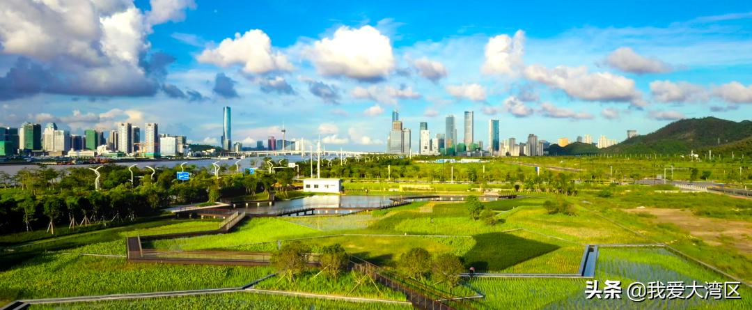 珠海春游赏花,珠海周边踏青景点