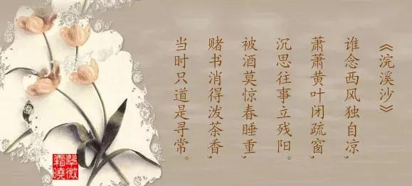 纳兰词第一章全文,纳兰词全文100首