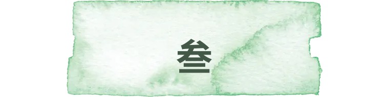 河南双胞胎姐妹真相,34年闺蜜竟是双胞胎