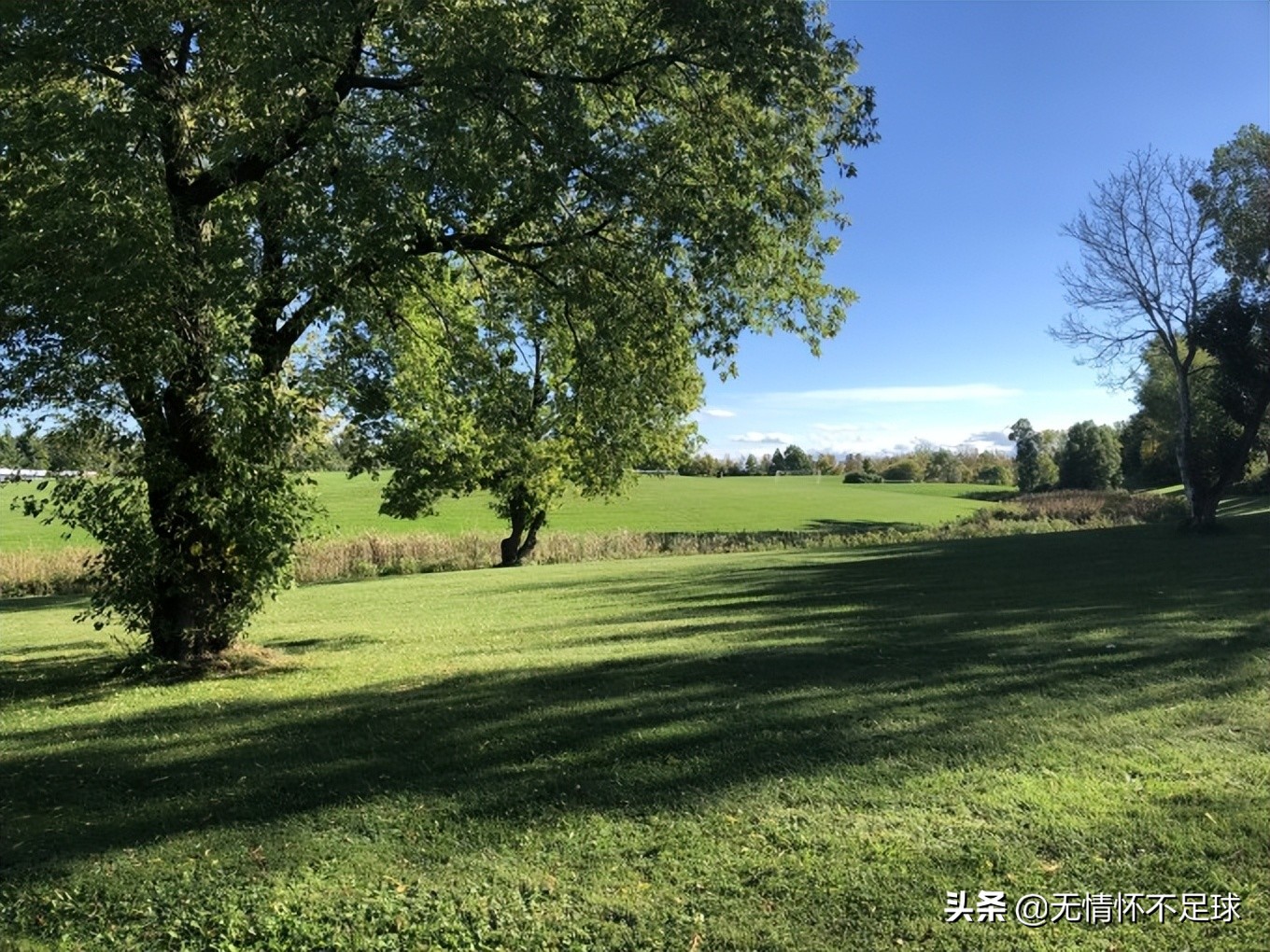 美国纽约东部游介绍,美国东部旅游感受