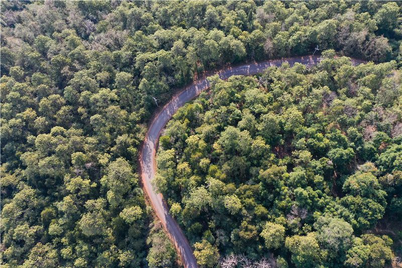 新昆楚大高速楚雄昆明入口,新昆楚大高速楚雄段