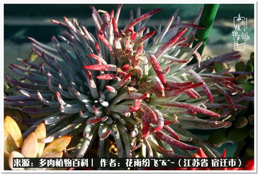 回味童年无忧无虑的快乐时光,童年最快乐的时光