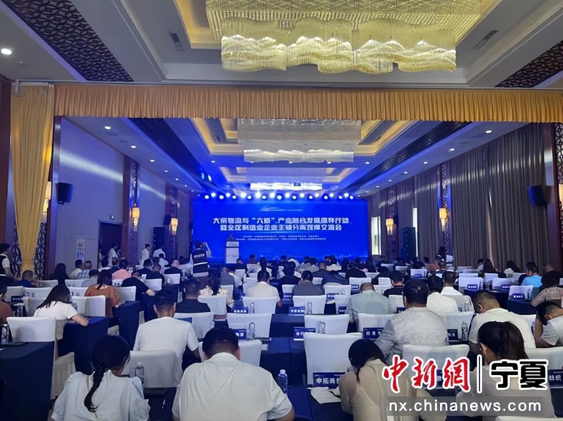 宁夏推进经济转型升级,宁夏产业转型升级方案