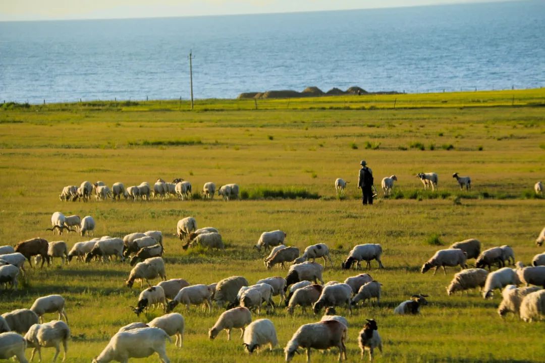 都去挤*疆新**？我选这个20°C的西北秘境