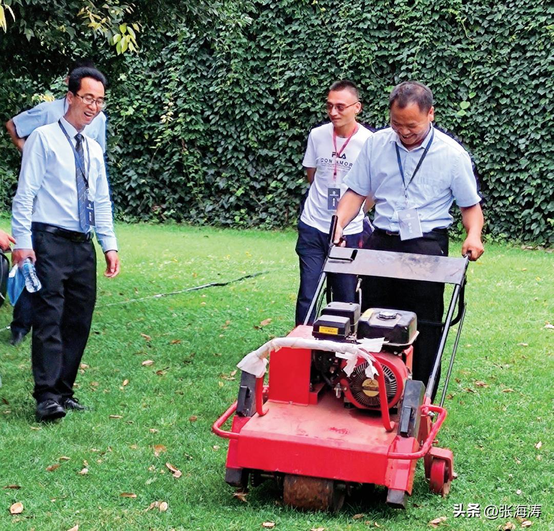 小区绿化维护属于物业吗,如何降低物业小区绿化成本