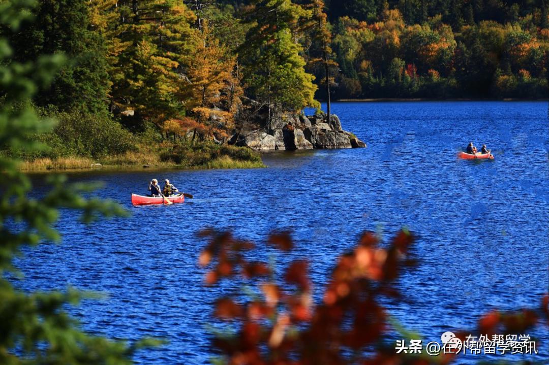 怎么申请加拿大学签,加拿大diy留学超详细教程