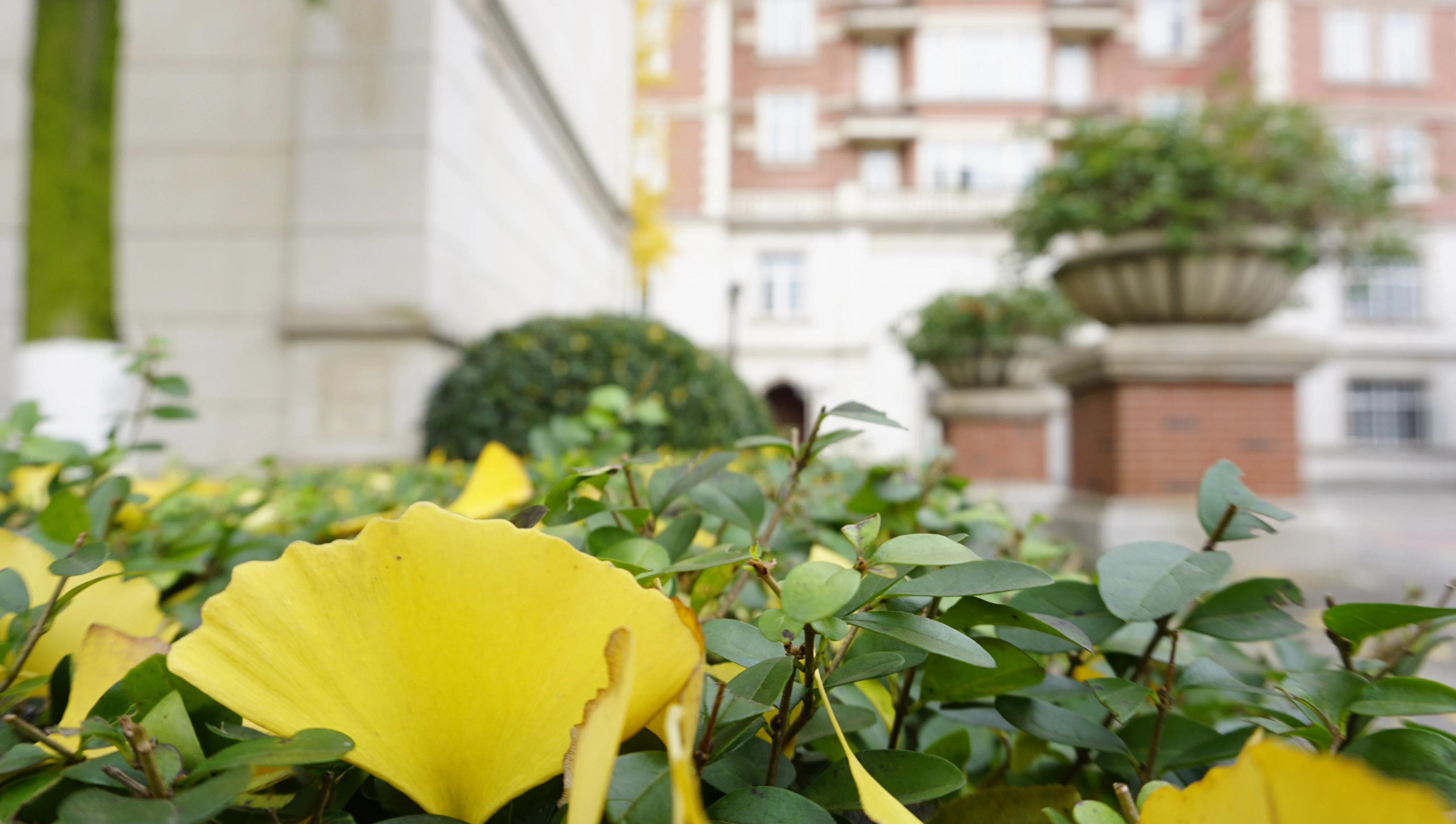 生茂丨走进西航，带你看四川最美校园