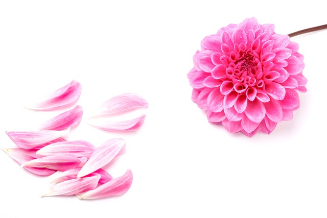 人到中年不要把亲戚看得太重,人到中年必须学会这八件事情