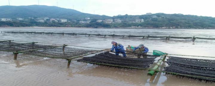 舟山市聚力乡村振兴,2019舟山三农年货节