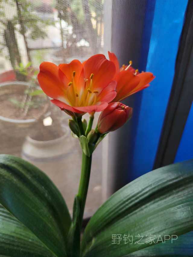 垂钓位置小浪底,小浪底垂钓秘籍