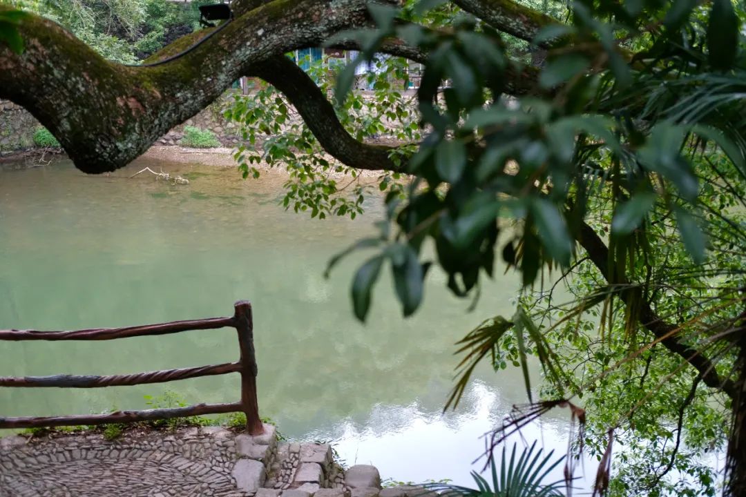 杭州冬日旅游自驾,杭州周边避暑两日自驾游攻略