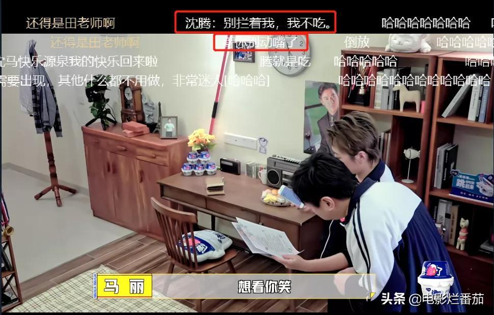 马丽沈腾票房第一,沈腾马丽团综默契