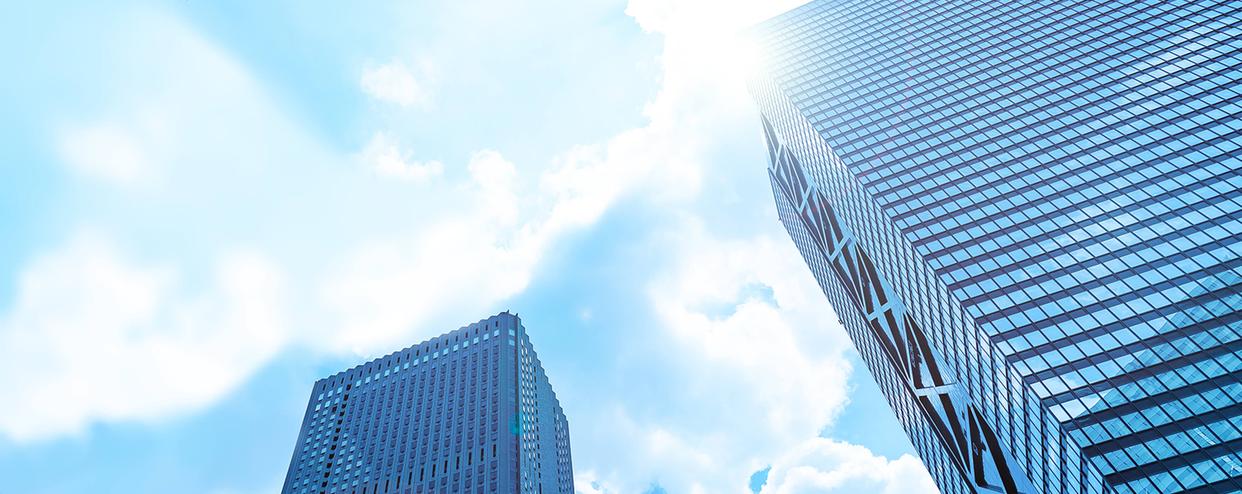 鏇茬巹绛栧垝,鏇茬巹鏁欒偛