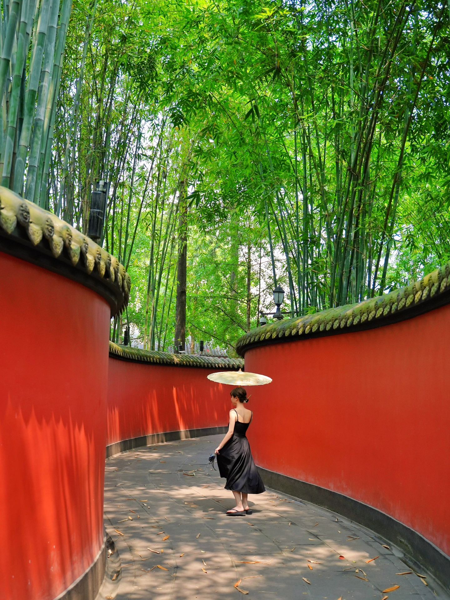 成都三日游最佳攻略包含川大,成都三日游最佳攻略视频