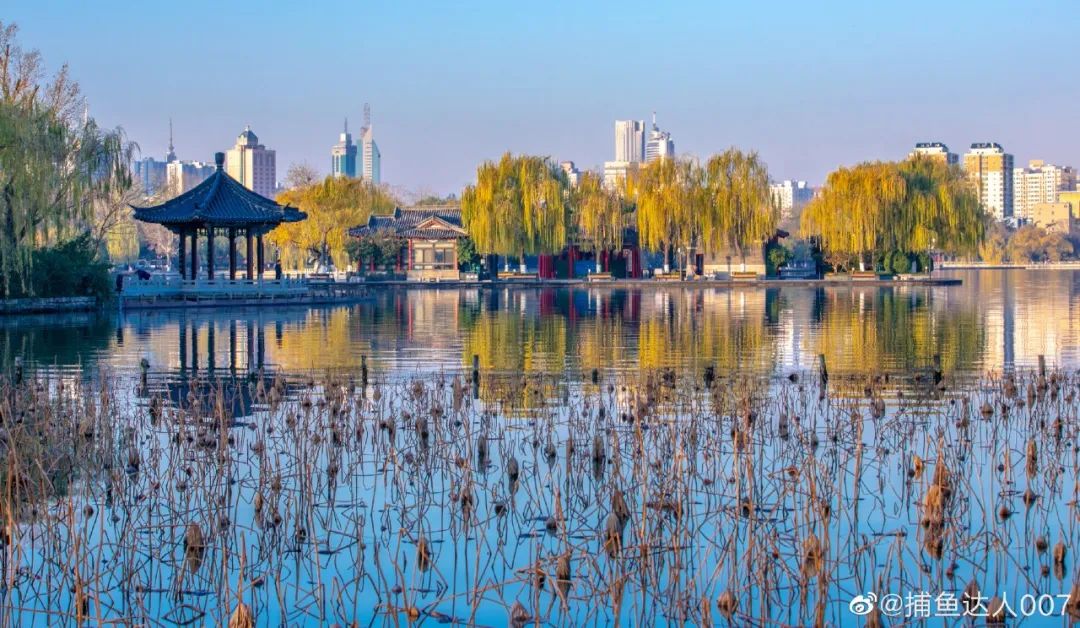 老舍笔下的济南,老舍笔下的济南到底多美