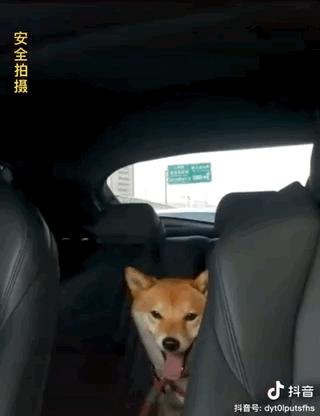 濂崇敓鍋氳揣鎷夋媺鍙告満,濂冲瀛愬仛鍙告満璺戣揣鎷夋媺