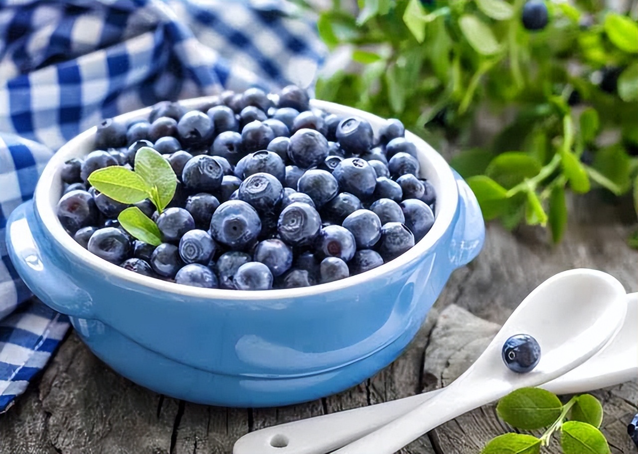 猫咪偷吃了人类的食物会怎么样,猫咪肠胃不舒服吃什么食物比较好