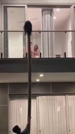 “姑娘，你知道衣服上的字是什么意思吗？”哈哈哈自信的姑娘最美