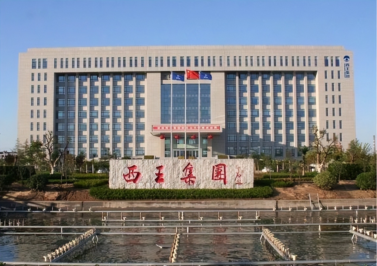 山东潍坊最牛企业,山东民营百强企业排名滨州