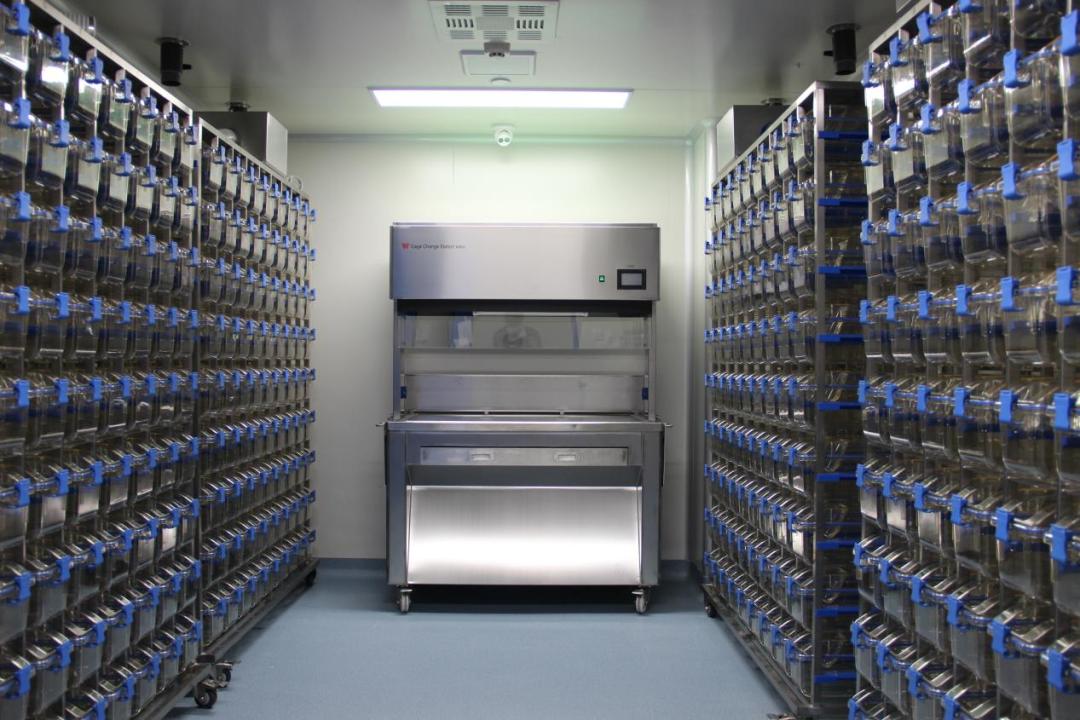 喜讯！赛业百沐顺利通过AAALAC资质认可