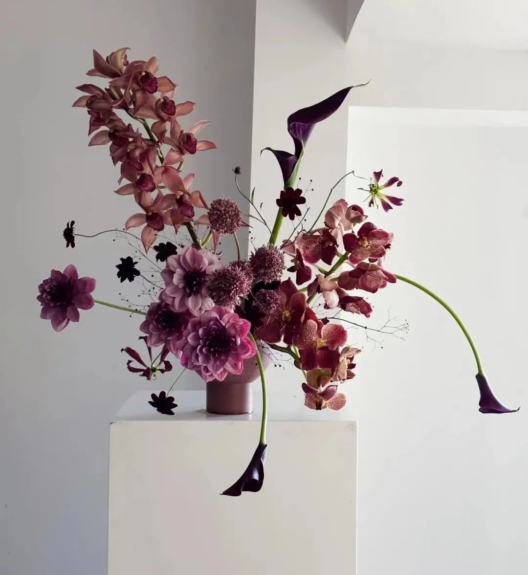 又又又被美到！10款秋日的花果叶，打包了最斑斓的秋色