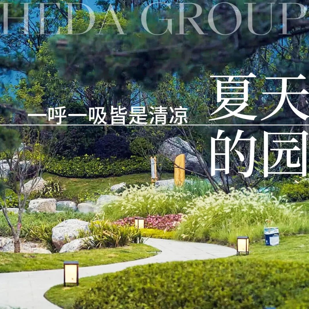 和达：蕴藏清凉与美好，开启向往的暑假生活