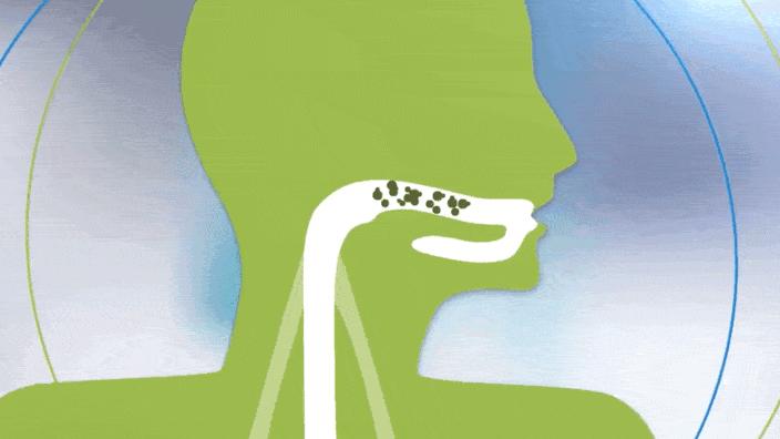 吃什么食物可以治口臭,口干口苦口臭吃什么食物来调理