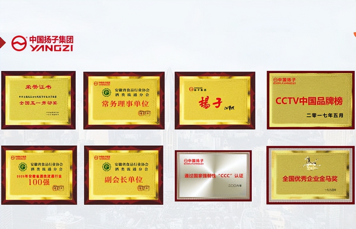 扬子啤酒属于中国扬子集团公司吗,扬子啤酒是扬子集团的吗